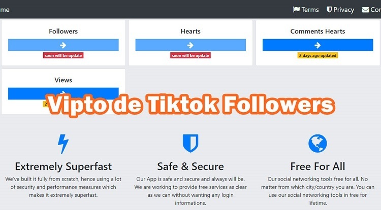 Vipto-de-Tiktok-Followers